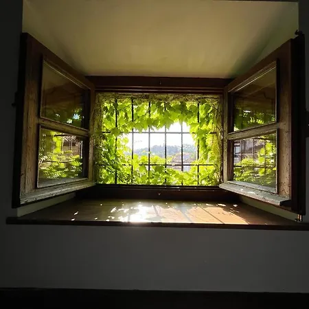 Apartment Gaudi